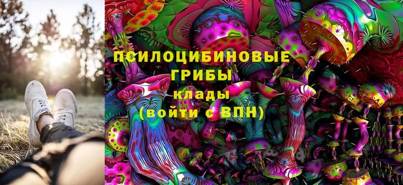 Псилоцибиновые грибы Magic Shrooms  OMG зеркало  Арск  купить  